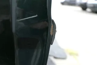 VW Passat 3B 3BG Kombi + Limo Tür vorne rechts Beifahrertür grün LC6N 116589 - Bild 2