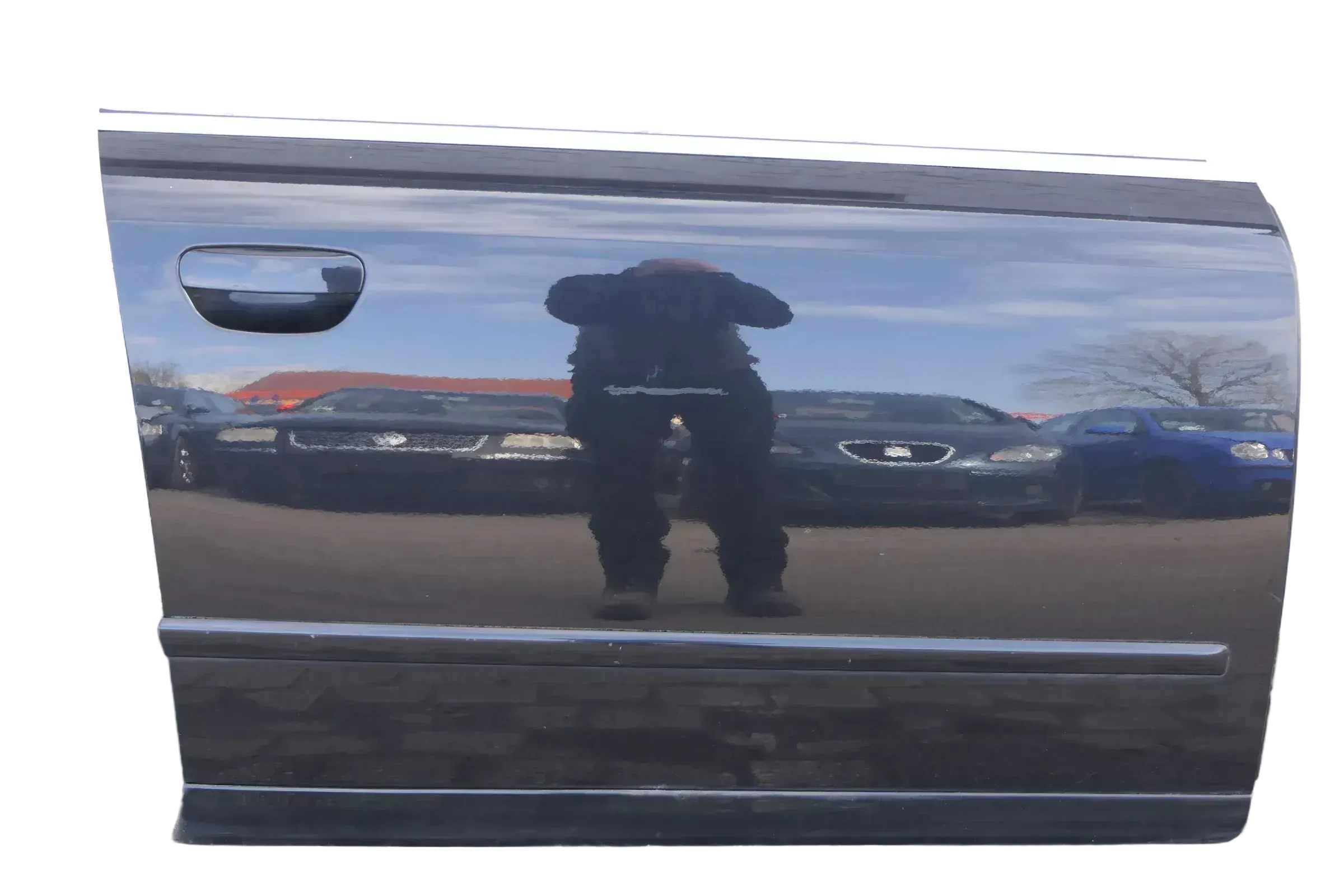 Audi A4 B6 8E nur Türblatt Tür vorne rechts Beifahrertür schwarz LZ9W Kombi+Limo - Bild 1