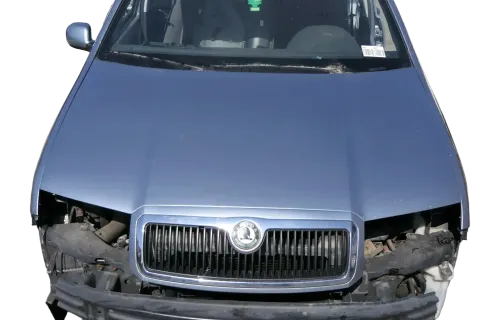 Skoda Fabia 6Y Motorhaube KLappe vorne silber grau LF7U mit Grill