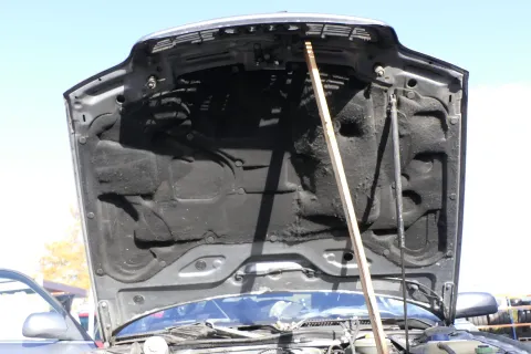 Article VW36