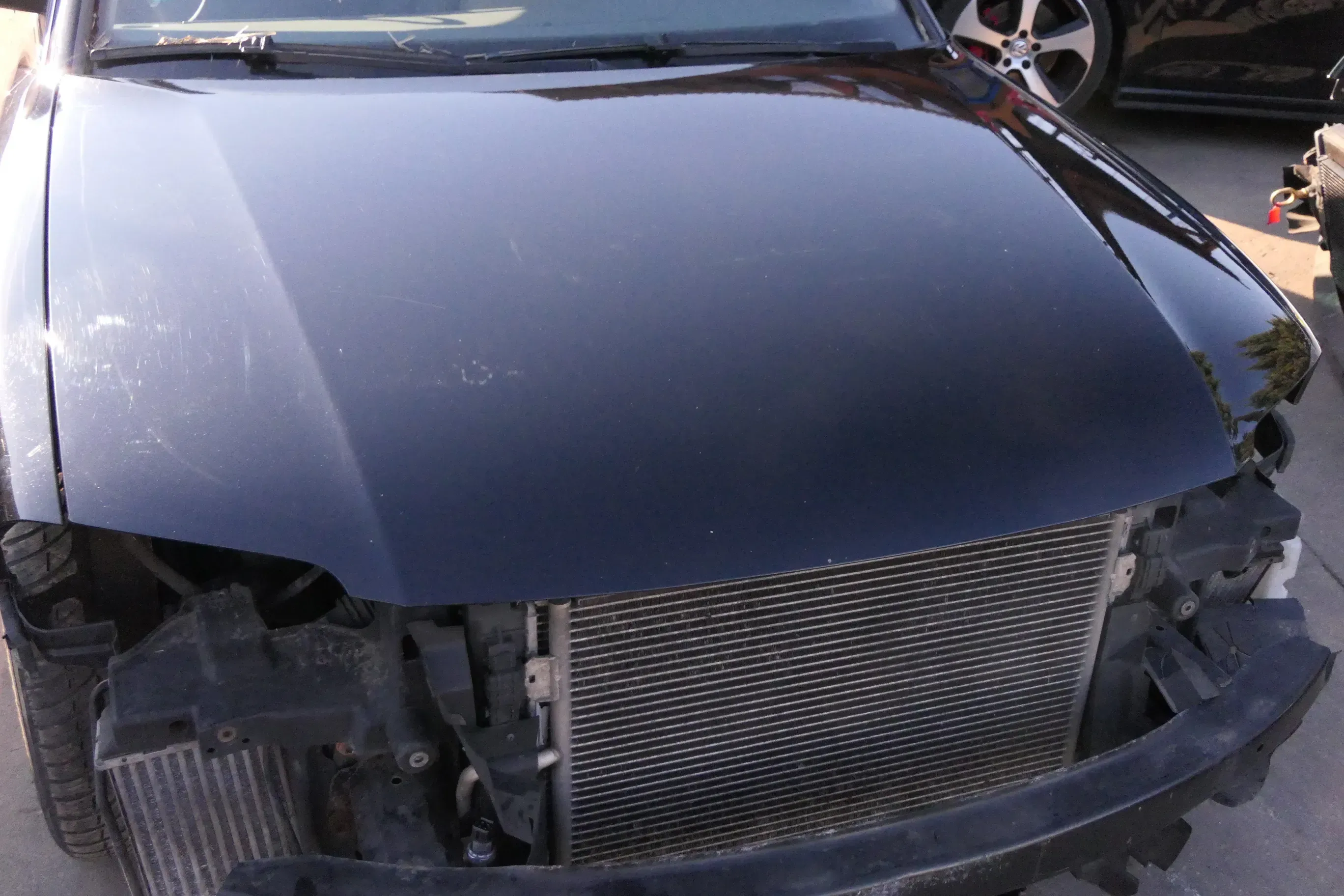 VW Passat 3BG Motorhaube Klappe vorne vorn Haube schwarz LC9X - Bild 1