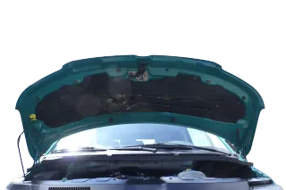 VW T5 Multivan Motorhaube Haube Klappe vorne grün weiß - Bild 4