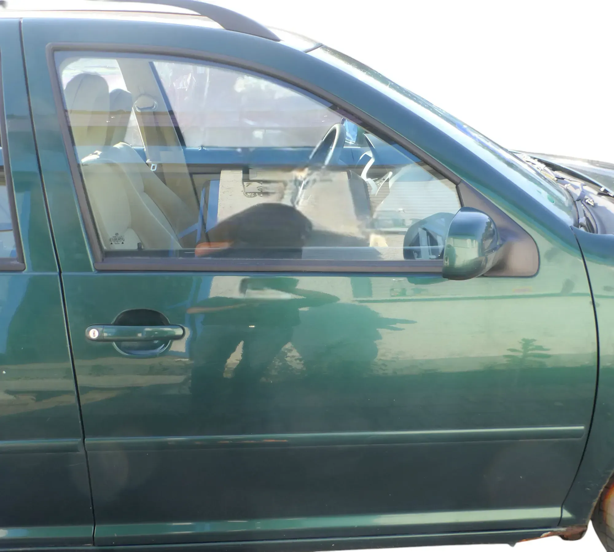 VW Golf 4 Bora Tür vorne rechts Beifahrertür 4/5-Türer+Kombi Variant grün LC6M - Bild 1