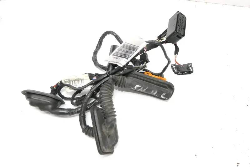 VW Tiguan 5N Kabelbaum Tür Türkabelbaum ZV hinten links 5N0971693AD - Bild 1