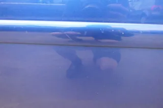 VW Touran 1T 1T3 Tür vorne rechts Beifahrertür blau LC5C- ohne Anbauteile - Bild 2