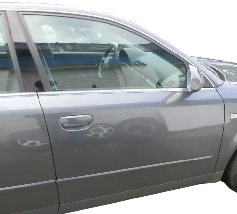 Audi A4 B6 8E nur Türblatt vorne rechts Beifahrertür grau LX7Z Kombi+Limo Tür