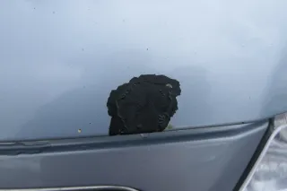 Audi A3 8L Motorhaube Frontklappe Haube blau LY7R auch für Facelift - Bild 3