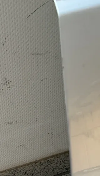 VW Polo 9N 9N3 Tür vorne links Fahrertür 4/5-Türer grau silber LA7R ohneAnbautei - Bild 3