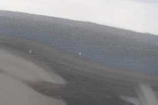 Audi A3 8L Kotflügel vorne rechts - schwarz LZ9U - Bild 5
