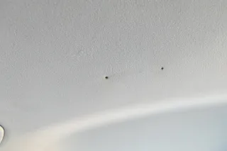 VW Golf 4 1J Kombi Variant Himmel Decke Dachhimmel Dach oben grau Schiebdach - Bild 10