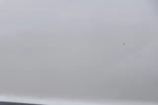 VW Passat 3B 3BG Kombi + Limo Tür vorne rechts Beifahrertür grau silber LA7W - Bild 8