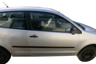 Polo 9N 9N3 Tür vorne rechts Beifahrertür 2/3-Türer silber LA7W ohneAnbauteile - Bild 1
