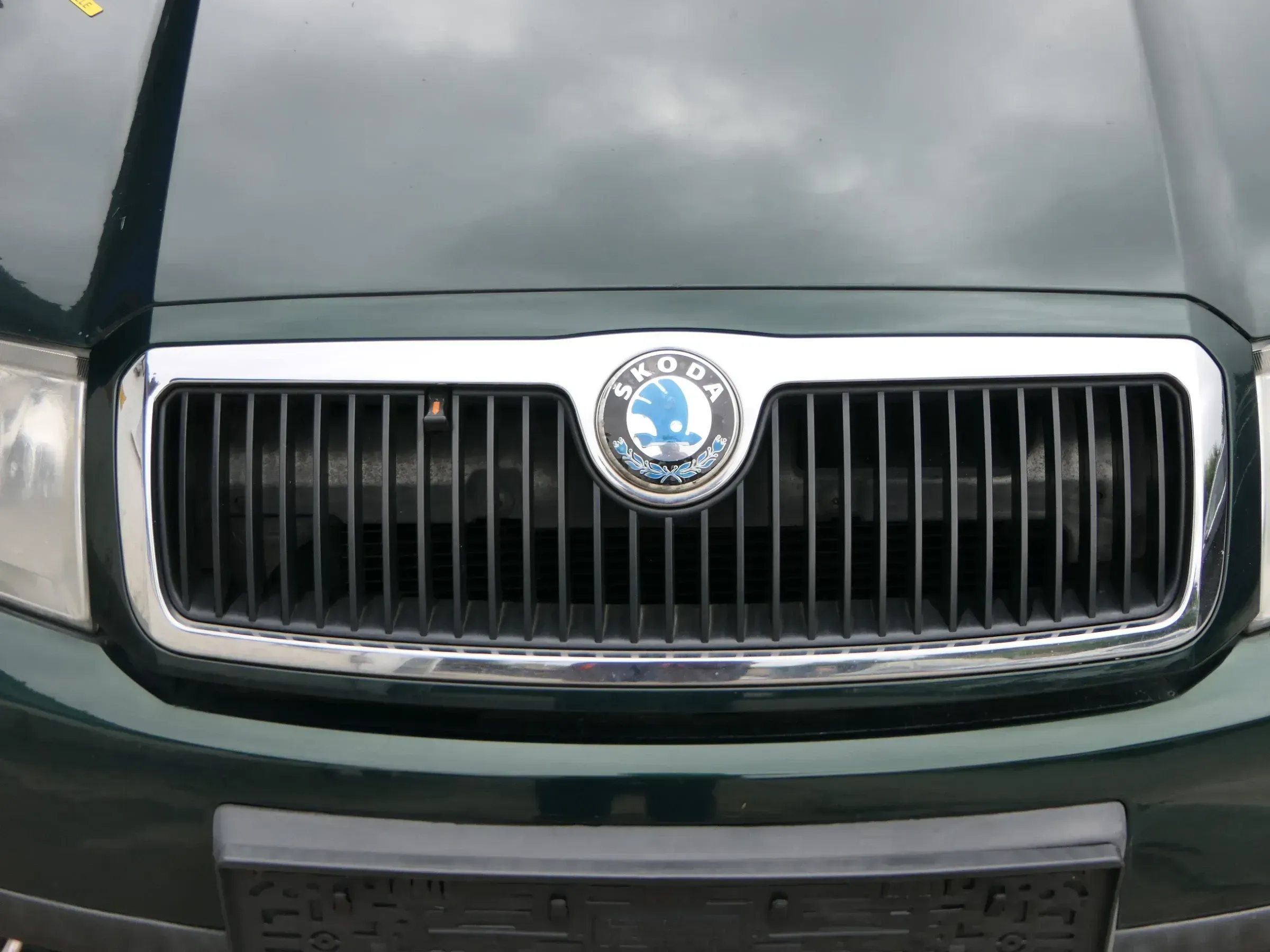 Fabia 6Y Zeichen Kühlergrill Grill Gitter 6Y0853668 grün LF8C Logo - Bild 1