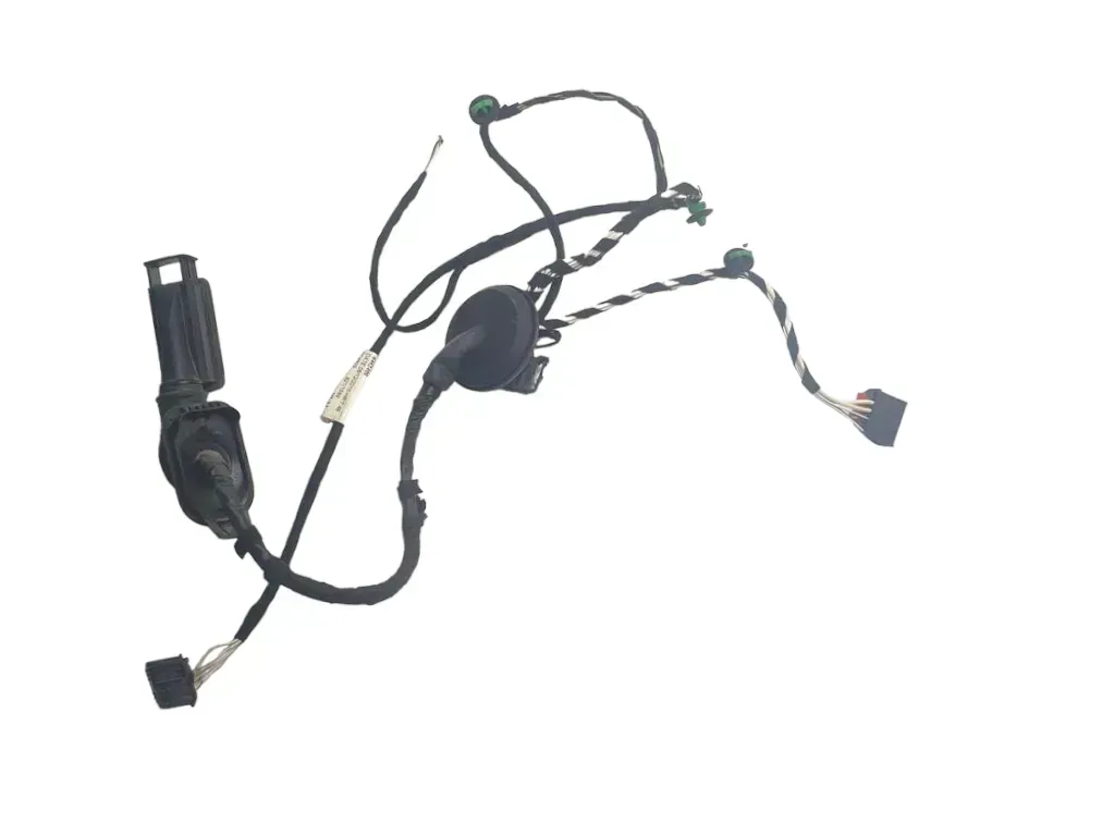 Passat 3C B8 3G Kabelbaum Tür Türkabelbaum hinte links Leitungssatz 3G0971693H/F - Bild 1