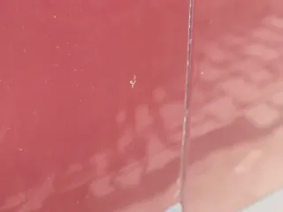 Audi A6 4B Kombi Avant Stoßstange hinten Heckstoßstange   rot LZ3L - Bild 15