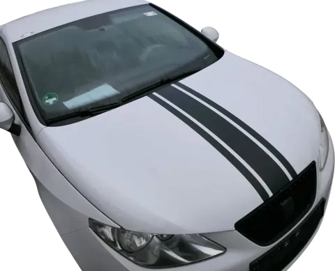 Article MDX6